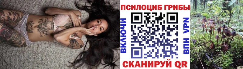 Галлюциногенные грибы мицелий  что такое   Пестово 